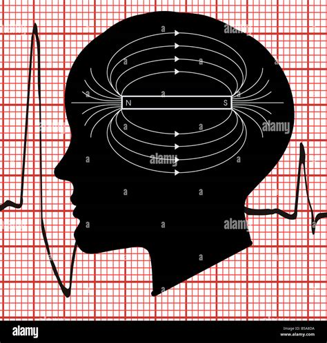 Human Magnetic Field