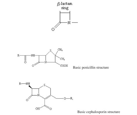 1 Structures Of The Core B Lactam Ring And B Lactam Antibiotics