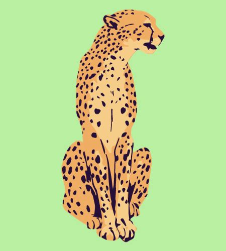 International Cheetah Day December 4 2024 Holiday Today