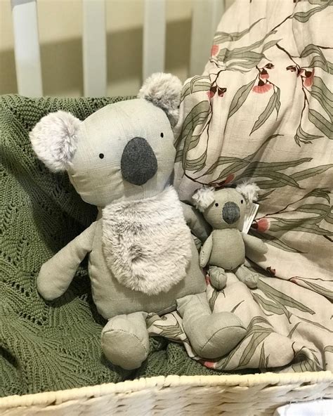 Little - Have you met Kieth the Koala ?? 🐨 Keith’s shyness is eclipsed