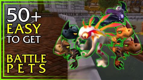 Easy Battle Pets 50 Easy To Get Battle Pets In World Of Warcraft