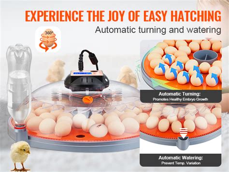 Vevor 48 Egg Incubator Incubators For Hatching Eggs 360° Automatic Egg Turner With Temperature