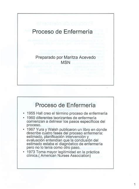 PDF Acev M Nurs 201 Proceso Enfer DOKUMEN TIPS