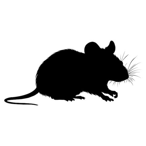 Premium Vector Rat Mouse Silhouette On White Canvas