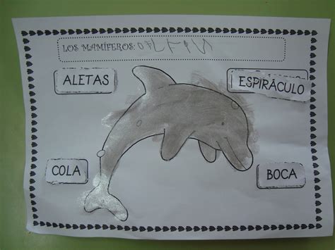 Plastificando Ilusiones Los Mamíferos Los Delfines