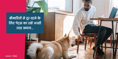 Common Diseases To Get From Pets During Monsoon In Hindiबरसात में