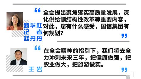 新华访谈丨以全会精神为指引，全力冲刺未来三年——新华社专访国信投资集团董事长王岩 新华网