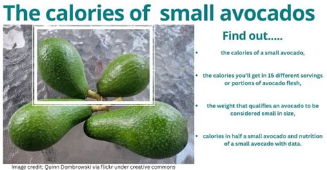 The calories of a small avocado.