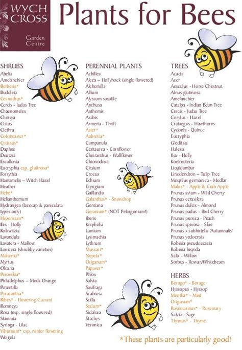 How To Create A Bee Friendly Garden Bee Friendly Garden Bee Garden