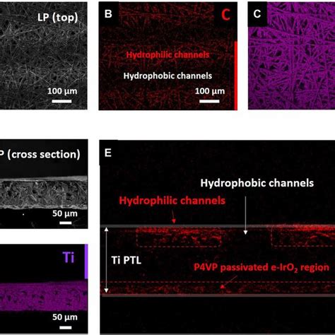 Pdf Amphiphilic Ti Porous Transport Layer For Highly Effective Pem