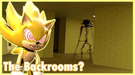 FLEEWAY SONIC VISITS THE BACKROOMS IN VRCHAT YouTube