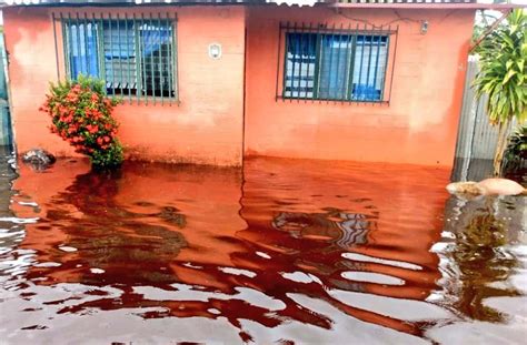 Los Da Os Que Dejaron Las Lluvias En M Rida