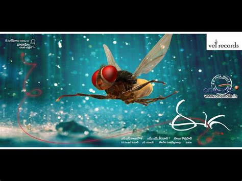 Eega Movie HD Wallpapers | Eega HD Movie Wallpapers Free Download ...