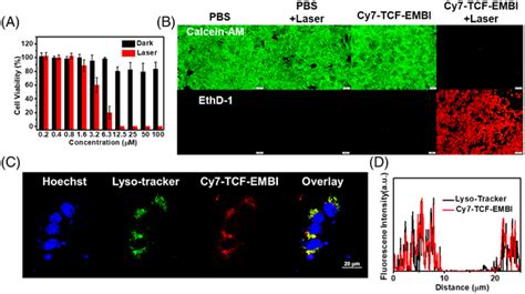 In vitro photothermal theranostic. (A) Survival rate of 4T1 cells ... 