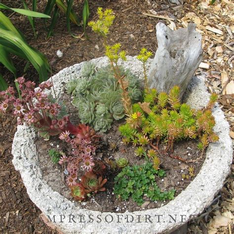 How To Make Hypertufa Pots Recipe And Step By Step Guide