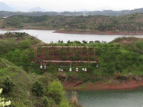 保护观点 一文读懂千岛湖水源地保护策略西湖千岛湖面源新浪新闻