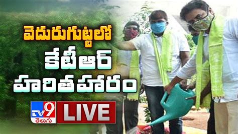 KTR In 6th Phase Of Haritha Haram LIVE Karimnagar District TV9