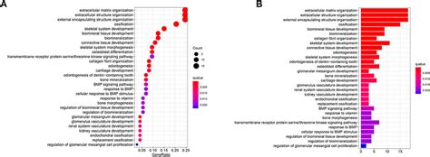 Frontiers Comprehensive Analysis Of Hypoxia Related Genes For