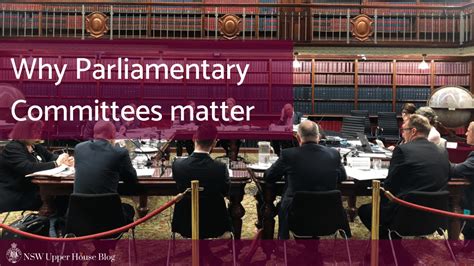 Why Parliamentary Committees Matter The House In Review