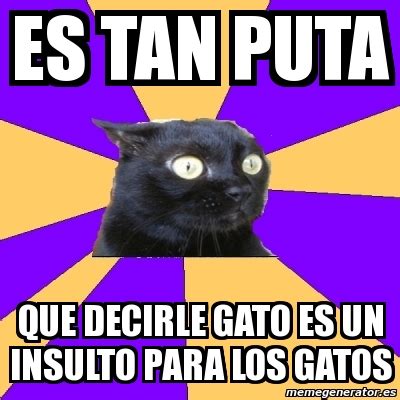 Meme Anxiety Cat Es Tan Puta Que Decirle Gato Es Un Insulto Para Los