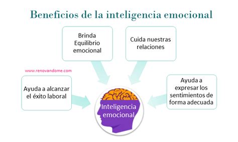 Que Es Y Para Que Sirve La Inteligencia Emocional Emocional Images