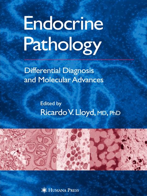 Endocrine Pathology Immunohistochemistry Polyclonal B Cell Response