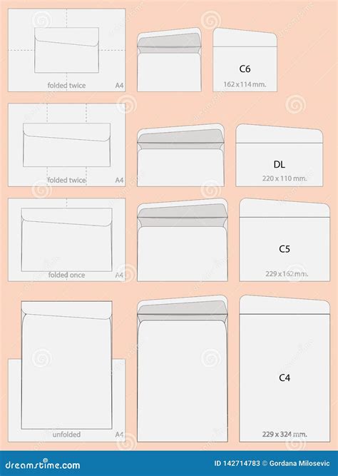 C4 C5 C6 and DL envelopes stock vector. Illustration of line - 142714783