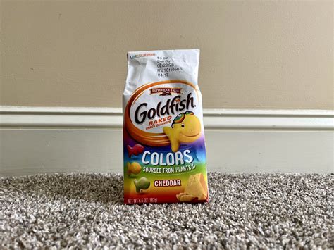 can goldfish hiding cheap 1