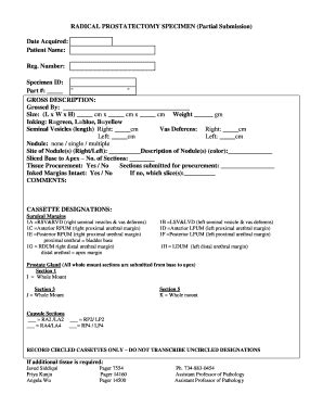 Fillable Online Pathology Med Umich Radical Prostatectomy Specimen