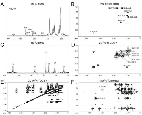 Nuclear Magnetic Resonance Nmr Spectra Of The Polysaccharide From The