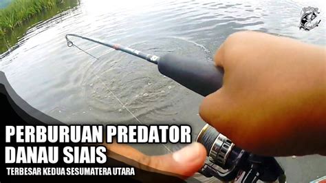 BERBURU PREDATOR DANAU SIAIS MANCING HAMPALA DENGAN SPOON YouTube