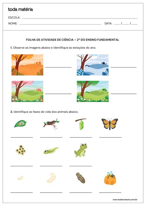 Atividades De Ciencias 2 Ano Fundamental Seres Vivos
