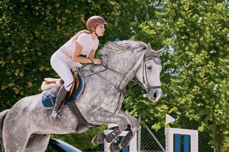 Dapple Grey Thoroughbred Jumping