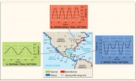 Solved Refer To Figure 1 Identify The Tidal Patterns That Occ