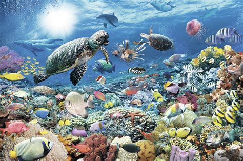 Looking For A Challenge This Ravensburger 9000 Piece Underwater