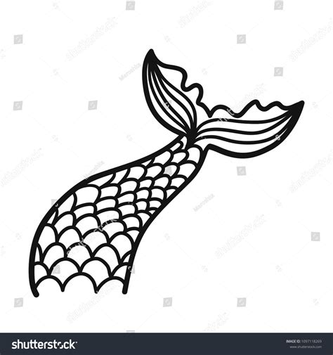 Hand Drawn Silhouette Mermaid Tail Vector 库存矢量图（免版税）1097118269 Shutterstock