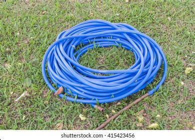 Water Flowing Hose On Green Grass Stock Photo Shutterstock