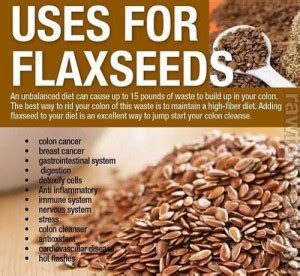 Flax Seeds: Benefits and Uses - Freedoms Phoenix