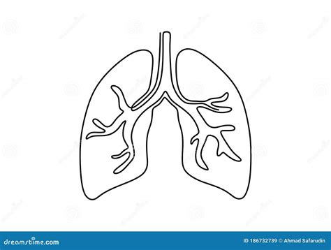 Una L Nea Continua De Arte Pulmones Humanos Anat Micos Ilustraci N De