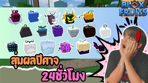 Roblox Blox Fruit สุ่มผลปีศาจ 24 ชั่วโมง Youtube