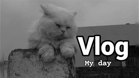 Vlog Youtube