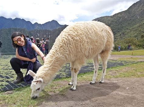 Cusco Peru Quando ir onde ficar o que fazer pratos típicos todas