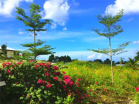 Some other title | Alta Garden Resorts