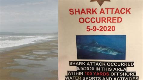 California surfer killed in shark attack, state beach closed | FOX 5 DC