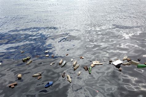 Effects Of Plastic Pollution On Oceans