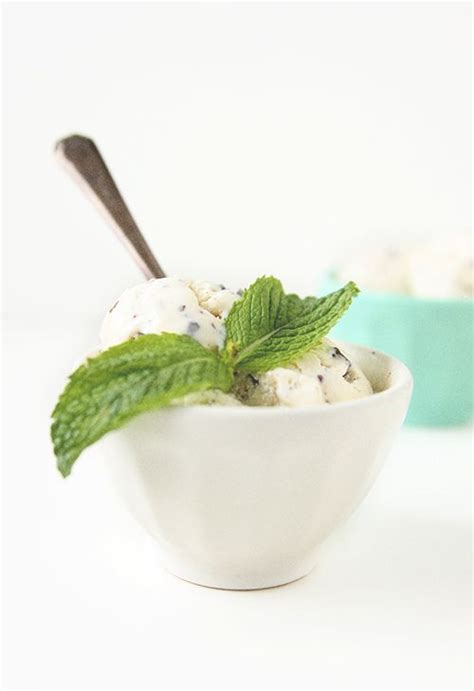 Fresh Mint Frozen Yogurt With Dark Chocolate Chunks Sorbet Recipes Mint Chocolate Chip Ice