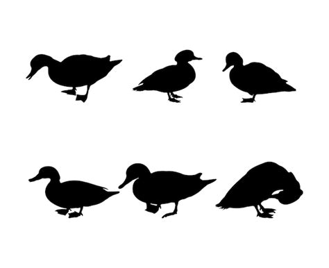 Premium Vector Collection Of Black Silhouettes Ducks