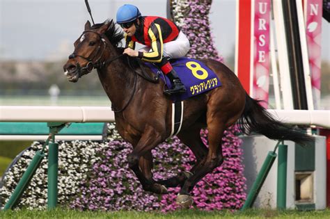 調教師 藤沢和雄（13）｜関係者インタビュー｜jra Van広場｜競馬情報ならjra Van