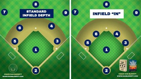 The 9 Baseball Positions A Complete Guide Numbers Body Types