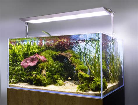 Ultra Slim Bt Las Nuevas Pantallas De Aquael Aq Aquarium Solutions